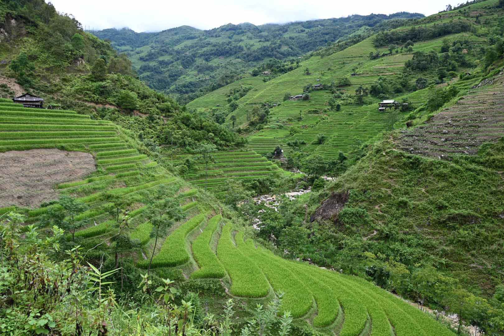 Ngắm ruộng bậc thang mờ ảo dưới màn mây ở Bản Phùng, Hà Giang - Ảnh 10.