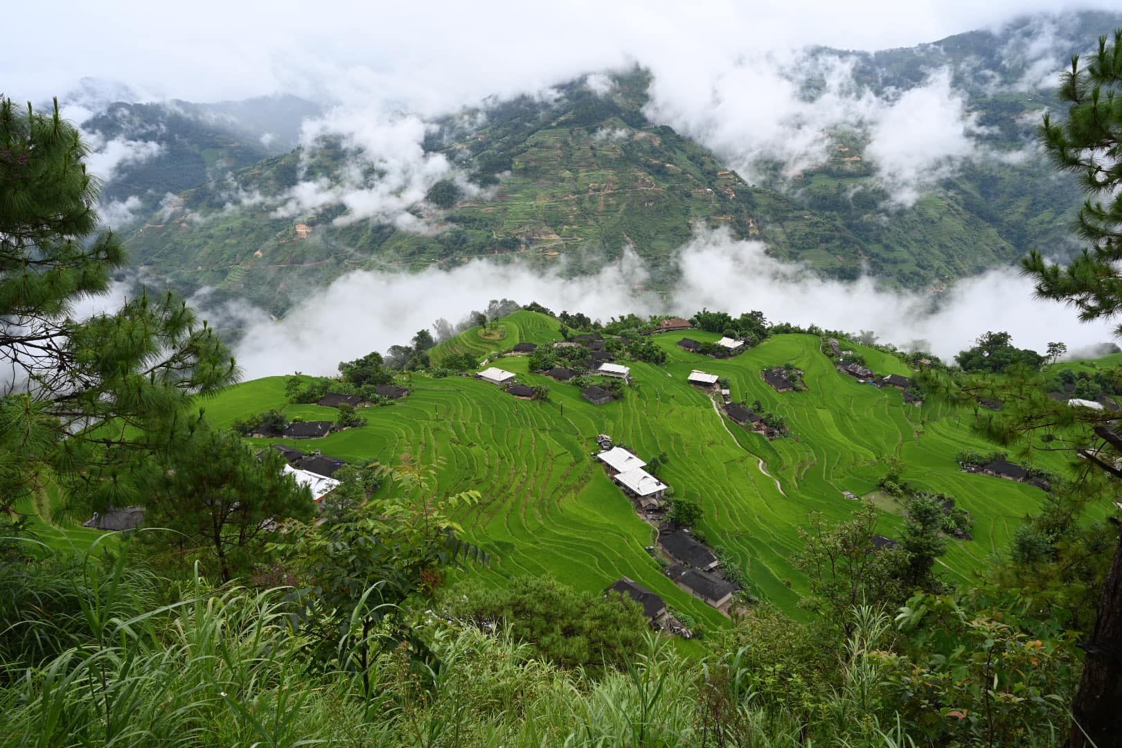 Ngắm ruộng bậc thang mờ ảo dưới màn mây ở Bản Phùng, Hà Giang - Ảnh 2.