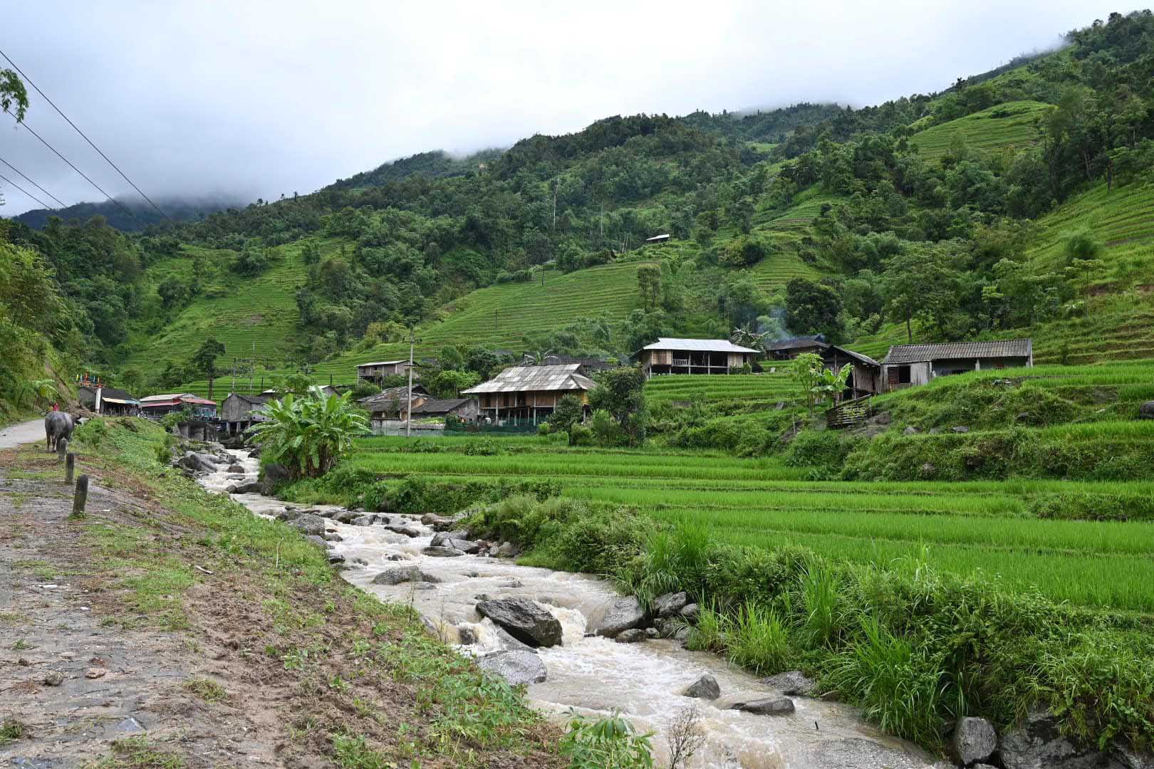 Ngắm ruộng bậc thang mờ ảo dưới màn mây ở Bản Phùng, Hà Giang - Ảnh 6.