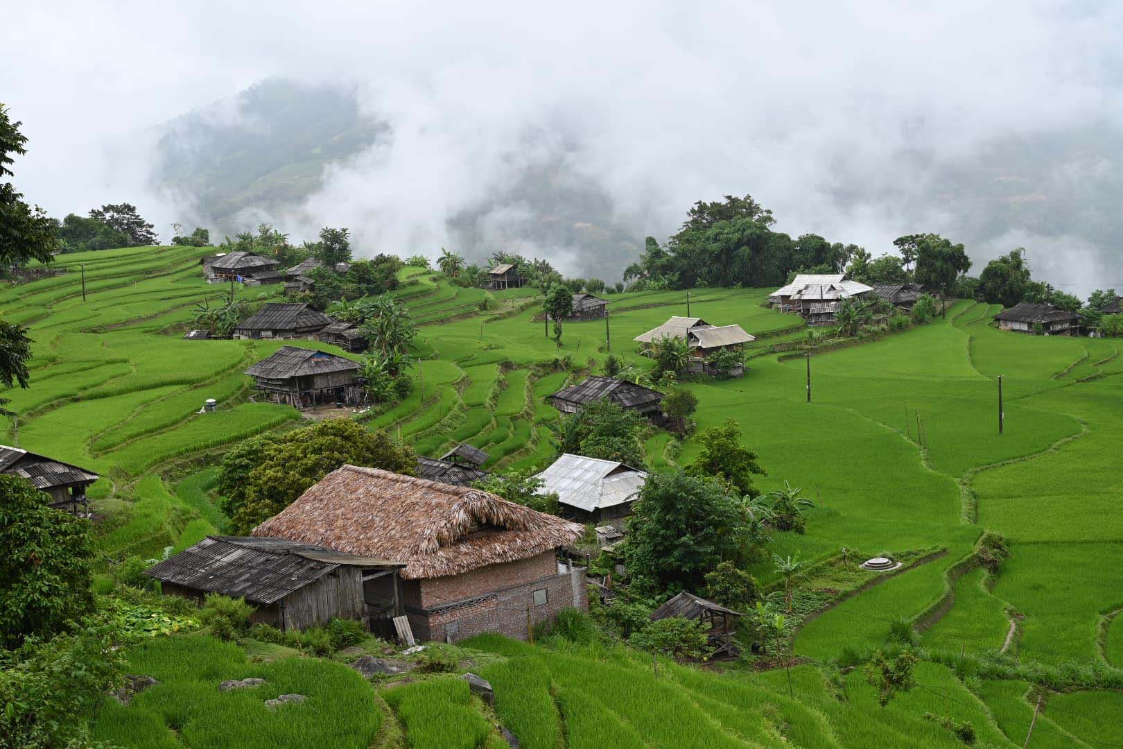 Ngắm ruộng bậc thang mờ ảo dưới màn mây ở Bản Phùng, Hà Giang - Ảnh 4.