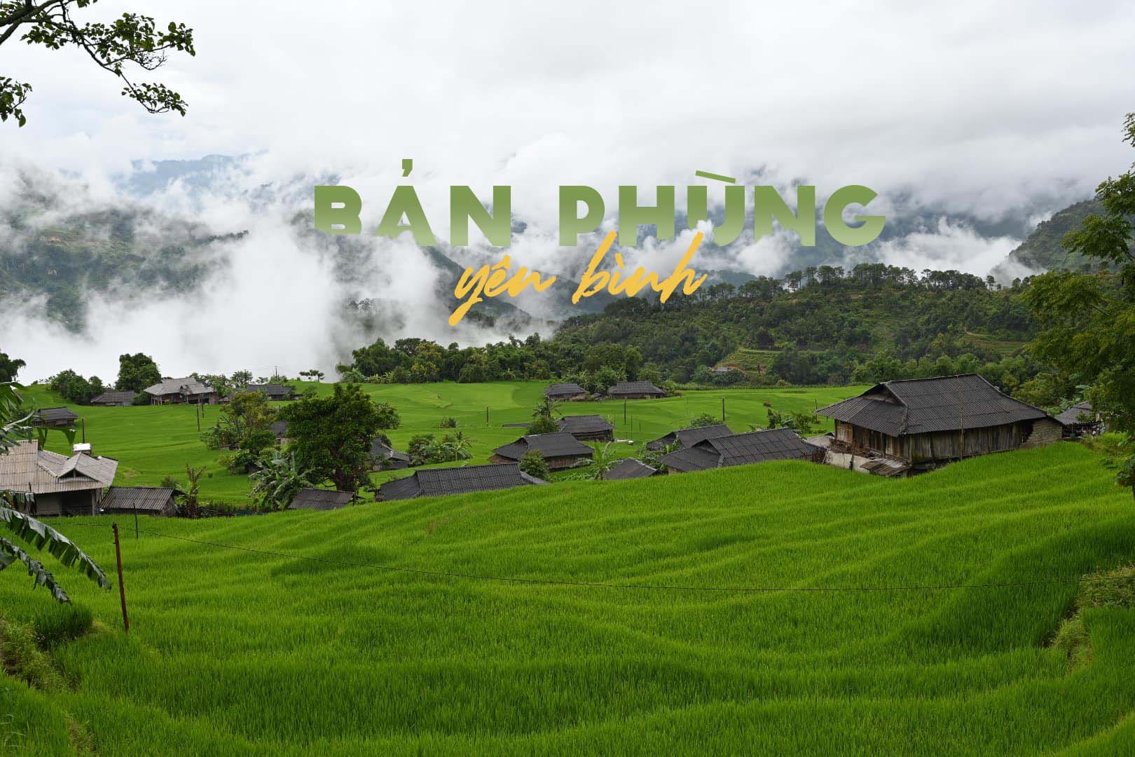 Ngắm ruộng bậc thang mờ ảo dưới màn mây ở Bản Phùng, Hà Giang - Ảnh 1.