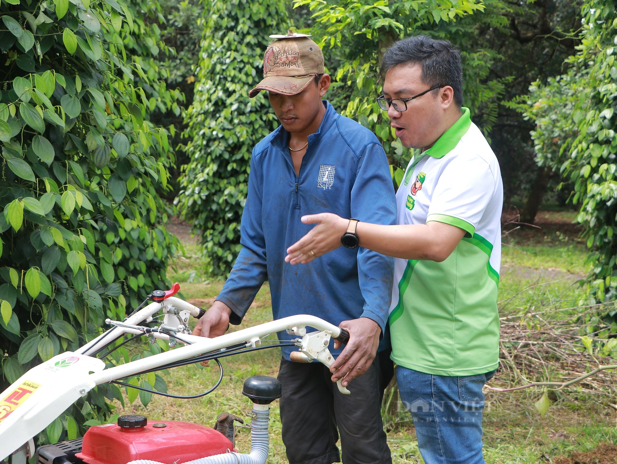 Rời bỏ nước Pháp, chàng trai 8X về quê làm nông nghiệp, trở thành Nông dân Việt Nam xuất sắc 2022 - Ảnh 4.