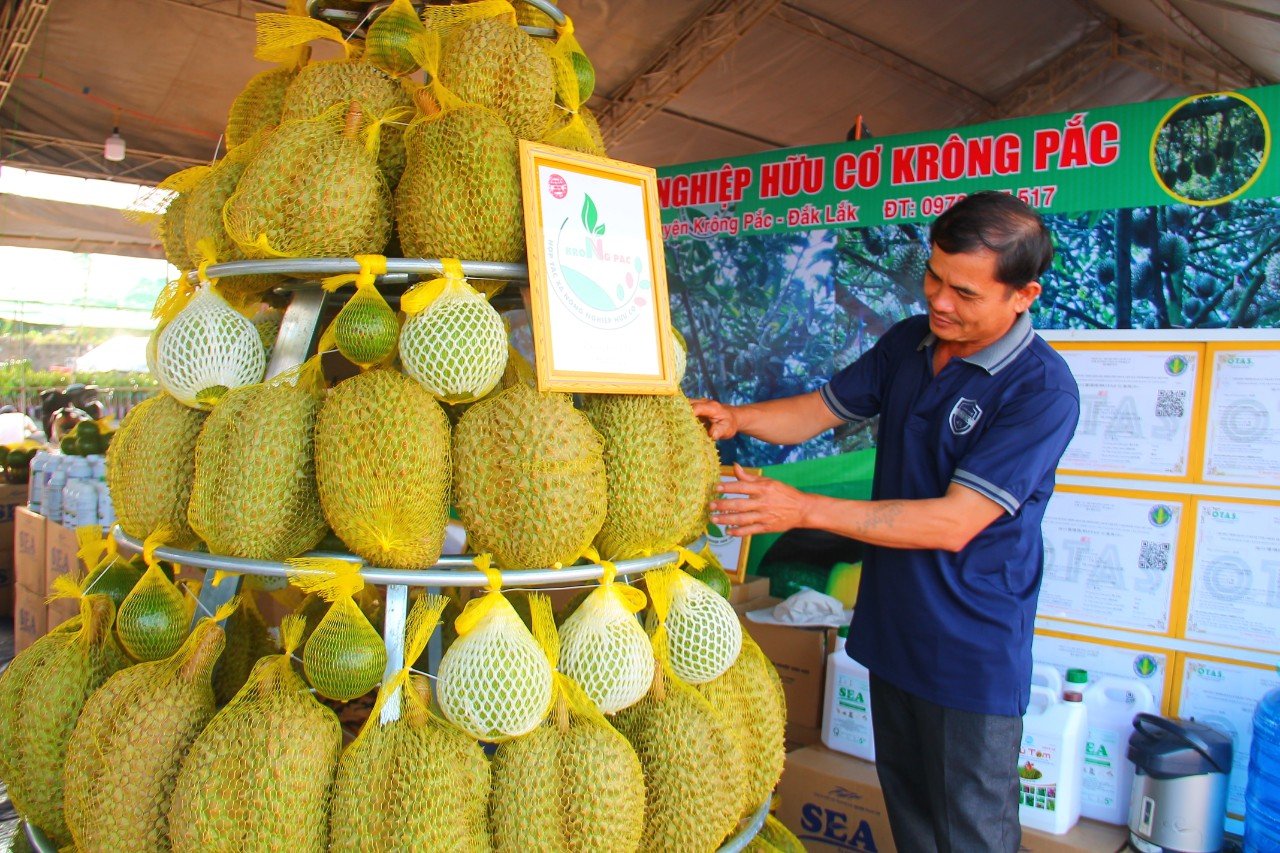 Các thương vụ Việt Nam tại Trung Quốc đề xuất làm ngay một việc liên quan đến trái sầu riêng - Ảnh 1.