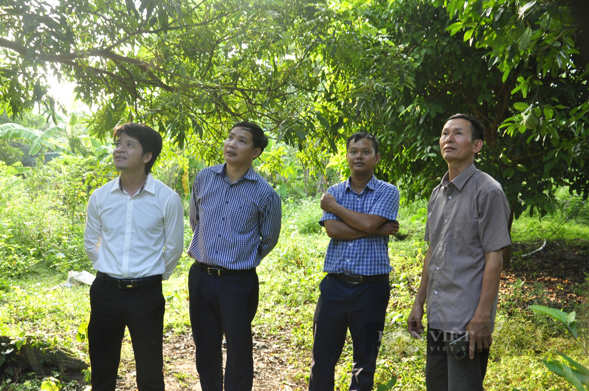 Lão nông cả đời gắn bó với vườn tược, 16 năm làm Chi hội trưởng nông dân - Ảnh 5.