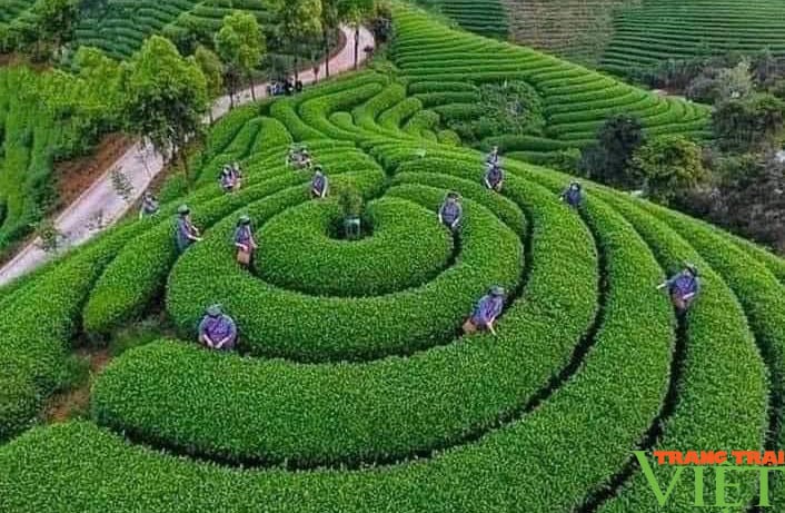 Lên vùng cao Lai Châu xem bà con Phúc Khoa làm nông thôn mới nâng cao - Ảnh 8. Lên vùng cao Lai Châu xem bà con Phúc Khoa làm nông thôn mới nâng cao - Ảnh 8.