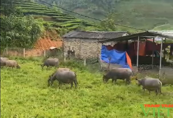 Lên vùng cao Lai Châu xem bà con Phúc Khoa làm nông thôn mới nâng cao - Ảnh 7. Lên vùng cao Lai Châu xem bà con Phúc Khoa làm nông thôn mới nâng cao - Ảnh 7.