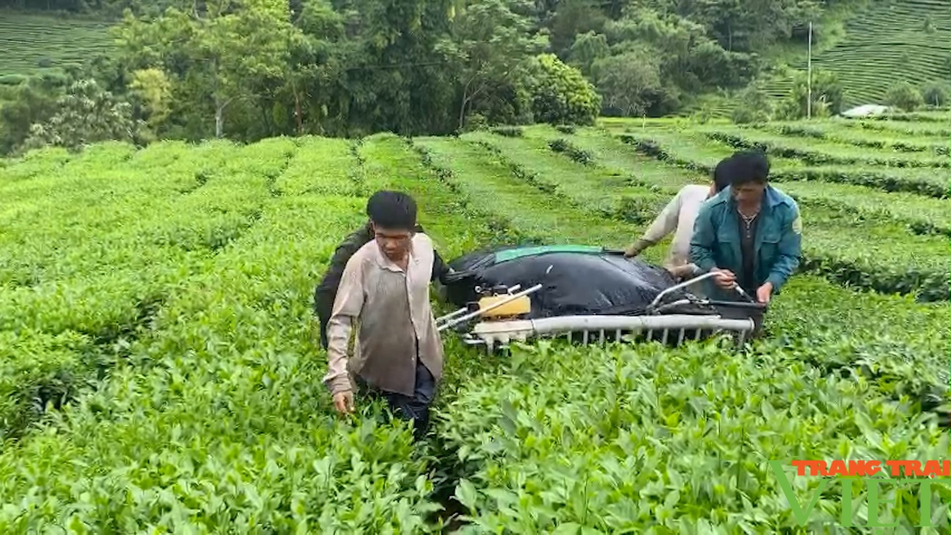 Lên vùng cao Lai Châu xem bà con Phúc Khoa làm nông thôn mới nâng cao - Ảnh 4. Lên vùng cao Lai Châu xem bà con Phúc Khoa làm nông thôn mới nâng cao - Ảnh 4.
