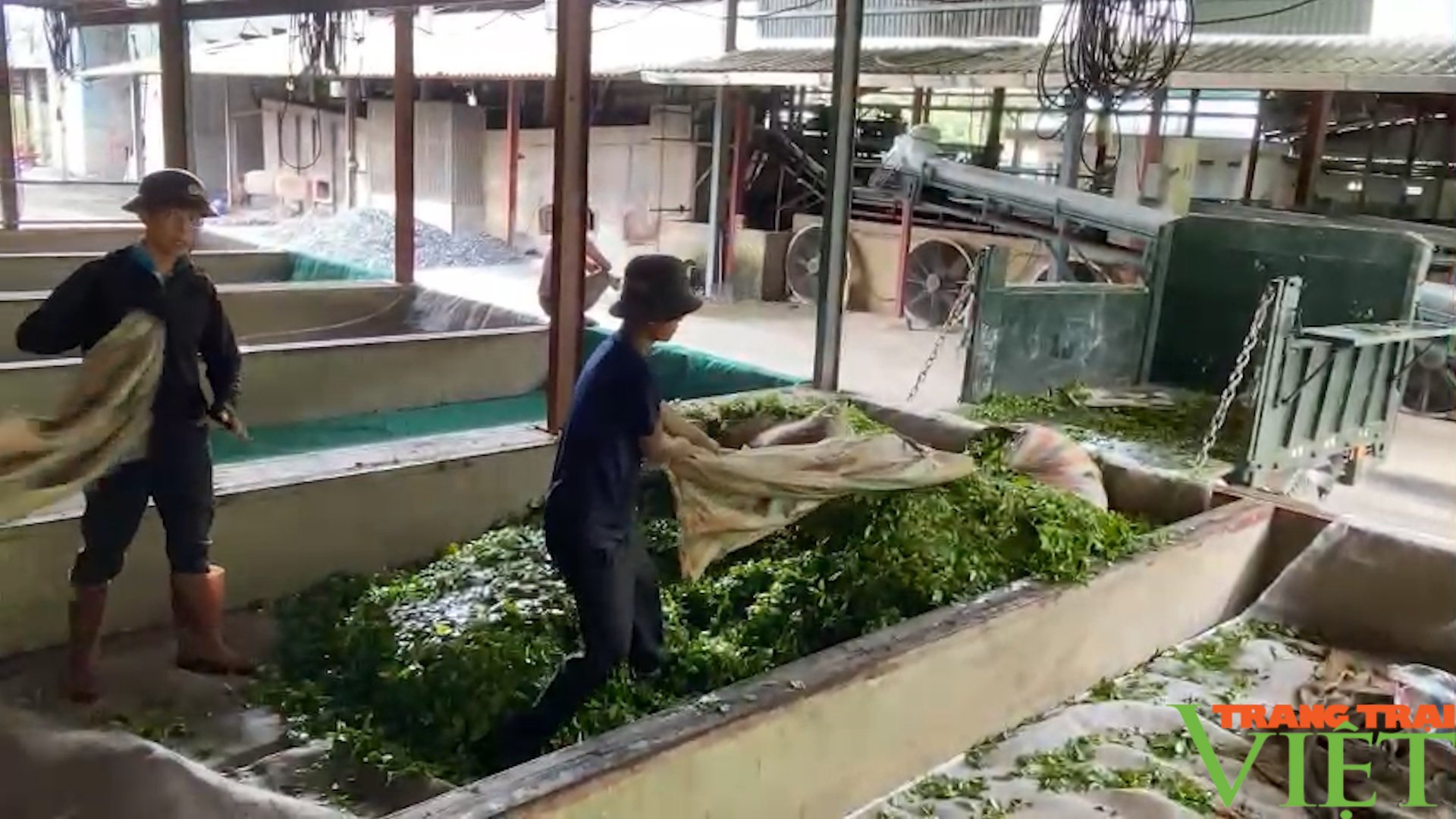 Lên vùng cao Lai Châu xem bà con Phúc Khoa làm nông thôn mới nâng cao - Ảnh 5. Lên vùng cao Lai Châu xem bà con Phúc Khoa làm nông thôn mới nâng cao - Ảnh 5.