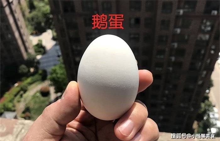 Dinh dưỡng của trứng gà, trứng vịt và trứng ngỗng có khác nhau? - Ảnh 3.