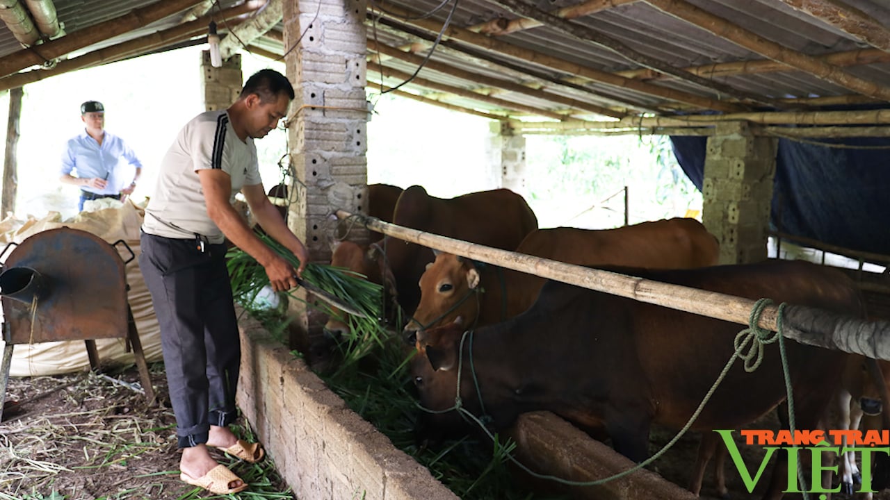 Lao nông Xuân Nha vươn lên từ qũy hỗ trợ nông dân - Ảnh 2.