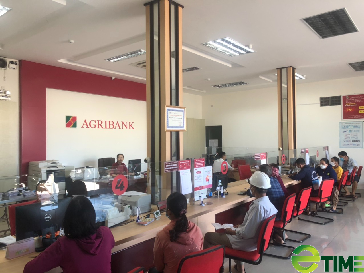 Mạnh dạn vay vốn Agribank nuôi gà, nông dân xứ Quảng thu lãi tiền tỷ - Ảnh 4.