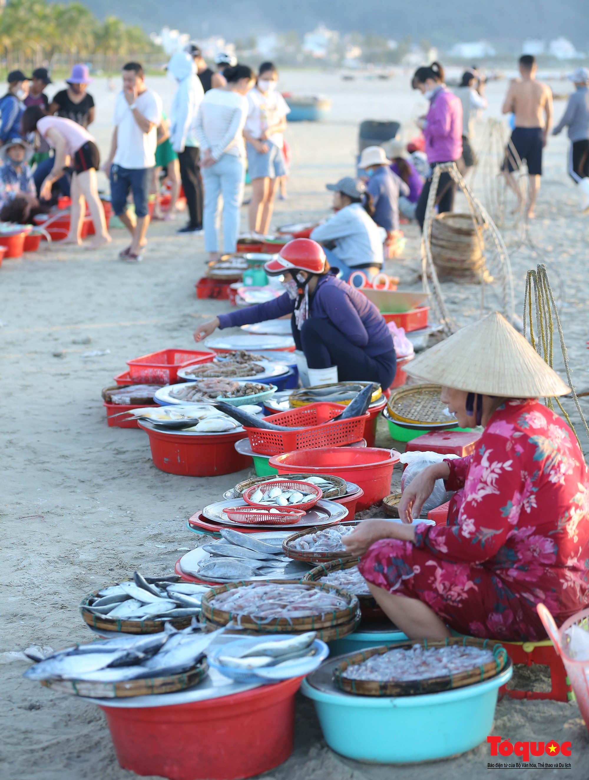 Ghé chợ hải sản tươi rói bên bờ biển Đà Nẵng lúc bình minh - Ảnh 11. Ghé chợ hải sản tươi rói bên bờ biển Đà Nẵng lúc bình minh - Ảnh 11.