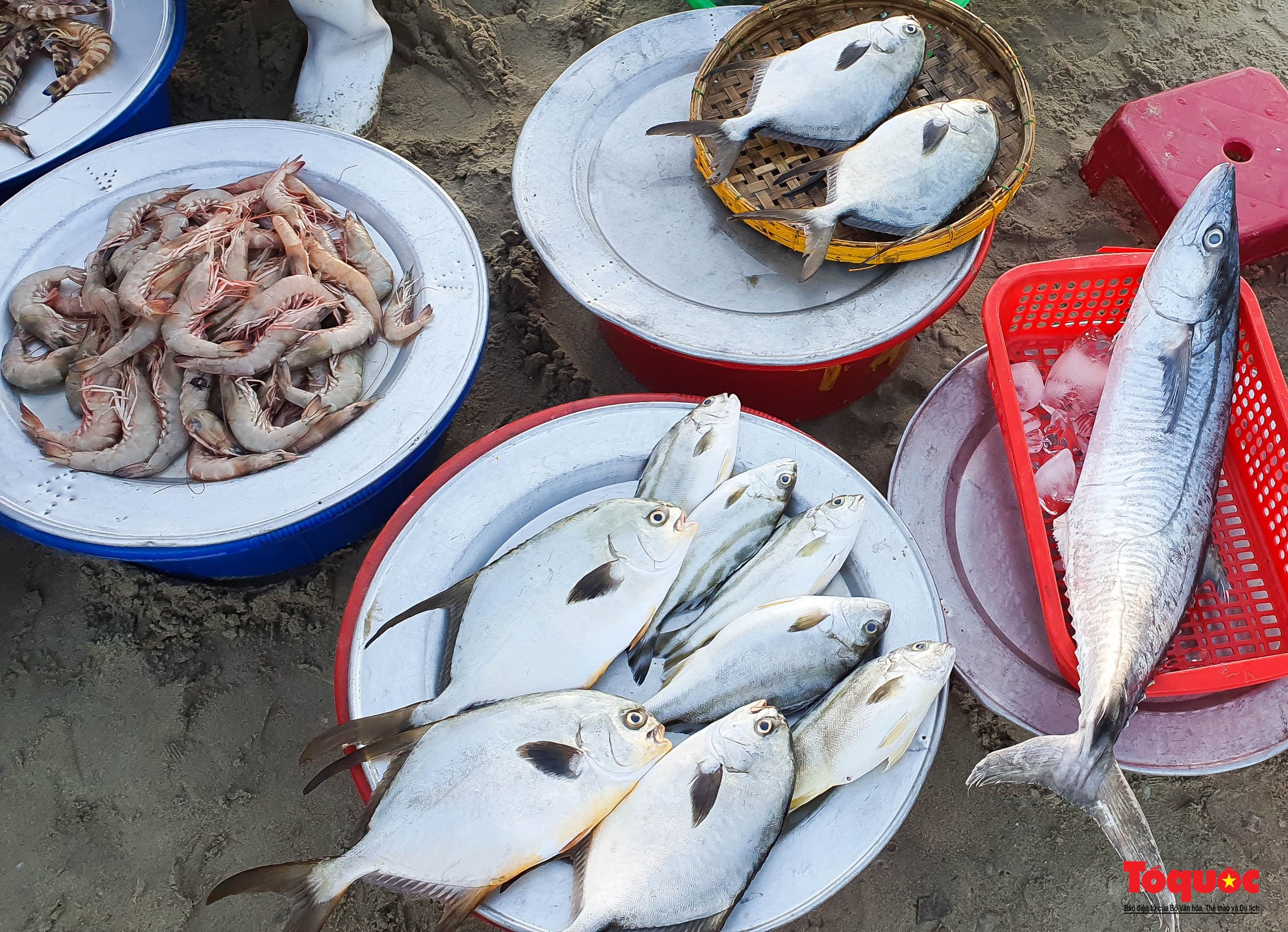 Ghé chợ hải sản tươi rói bên bờ biển Đà Nẵng lúc bình minh - Ảnh 10. Ghé chợ hải sản tươi rói bên bờ biển Đà Nẵng lúc bình minh - Ảnh 10.