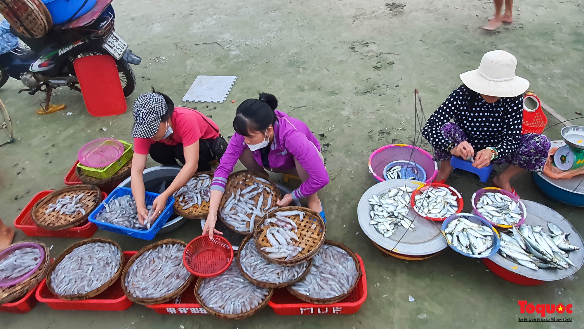 Ghé chợ hải sản tươi rói bên bờ biển Đà Nẵng lúc bình minh - Ảnh 7. Ghé chợ hải sản tươi rói bên bờ biển Đà Nẵng lúc bình minh - Ảnh 7.