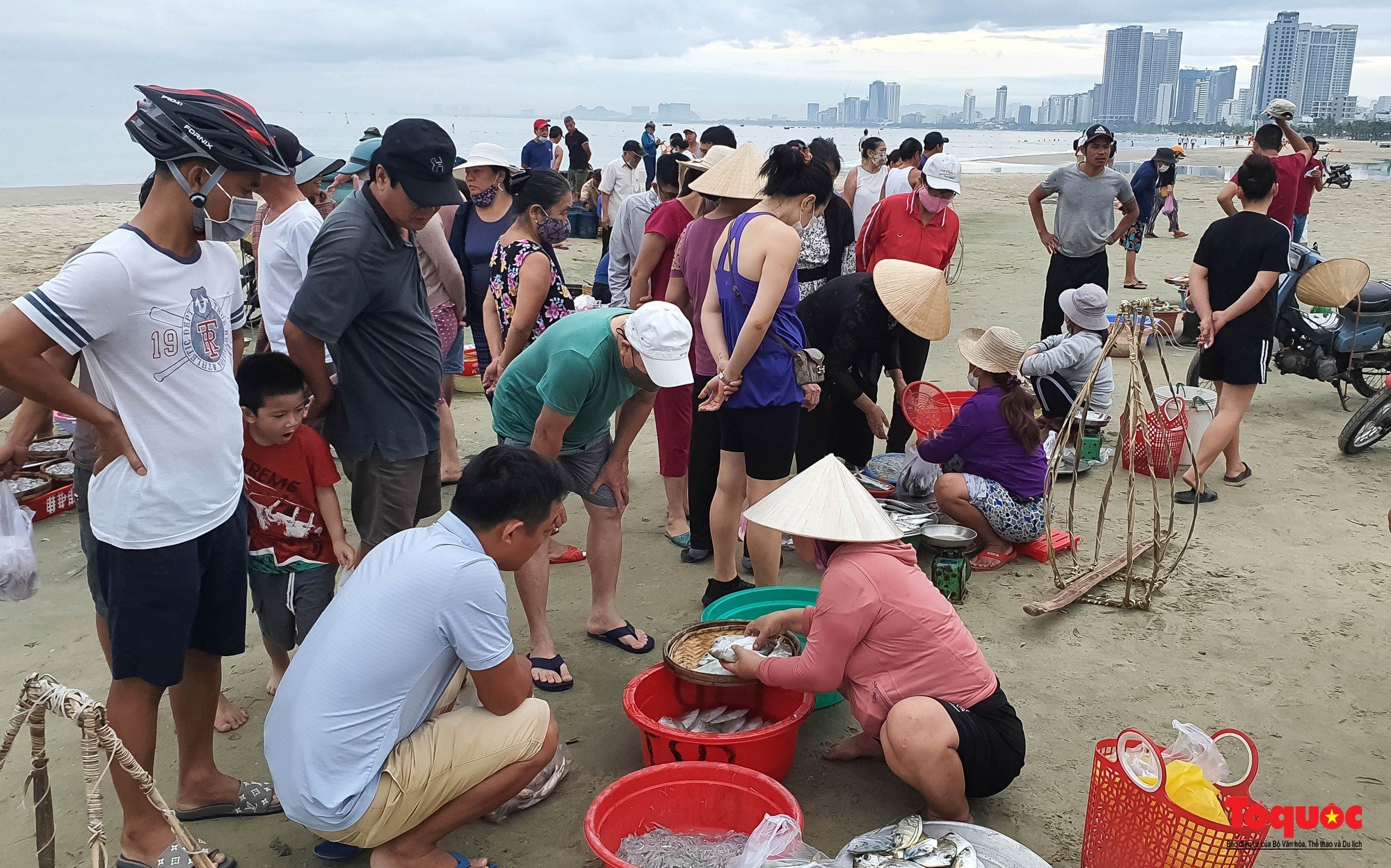 Ghé chợ hải sản tươi rói bên bờ biển Đà Nẵng lúc bình minh - Ảnh 6. Ghé chợ hải sản tươi rói bên bờ biển Đà Nẵng lúc bình minh - Ảnh 6.