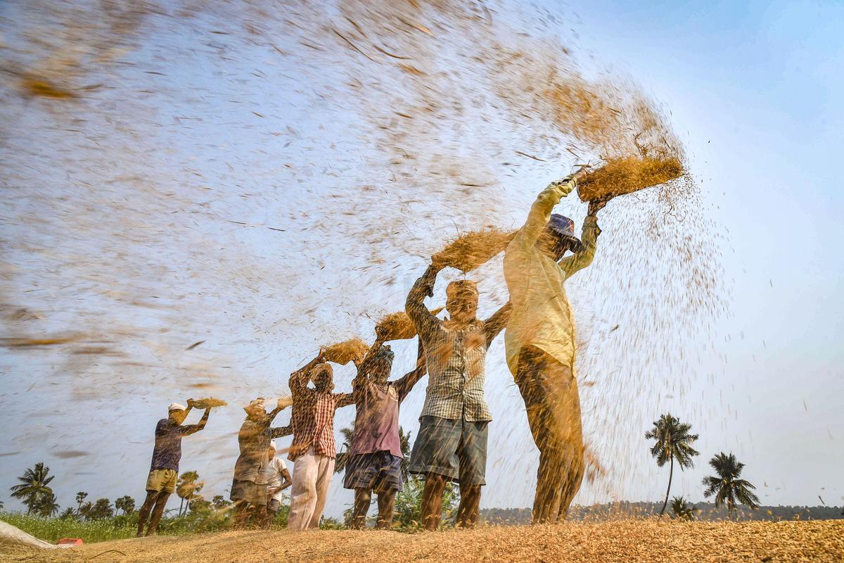 Lệnh cấm cũng áp dụng trong thời điểm lạm phát toàn cầu đã trở nên trầm trọng hơn, đặc biệt là do chiến tranh ở Ukraine. Ảnh: @AFP.