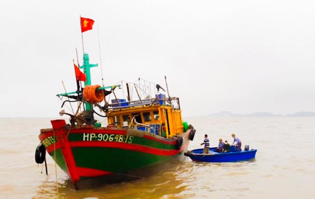 Hải Phòng quyết liệt chung tay gỡ “thẻ vàng” thủy sản - Ảnh 1.