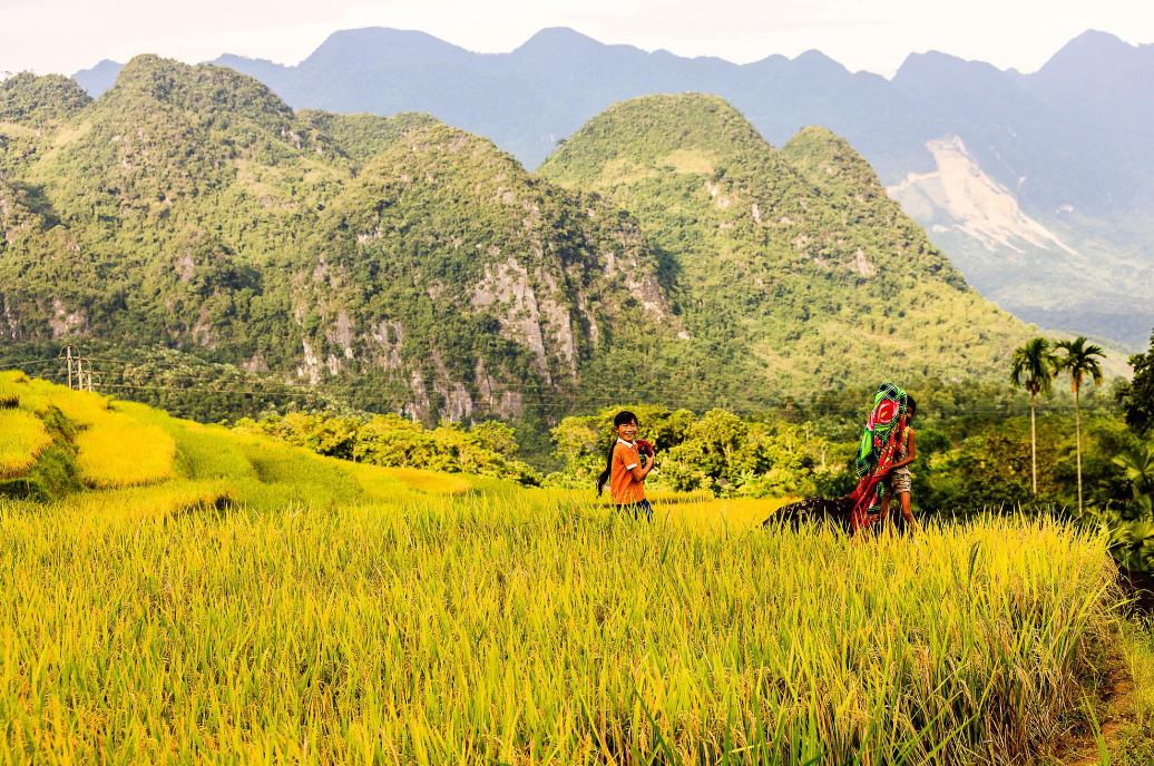 Không chỉ Mù Cang Chải, Pù Luông cũng có mùa lúa chín tuyệt đẹp - Ảnh 4.