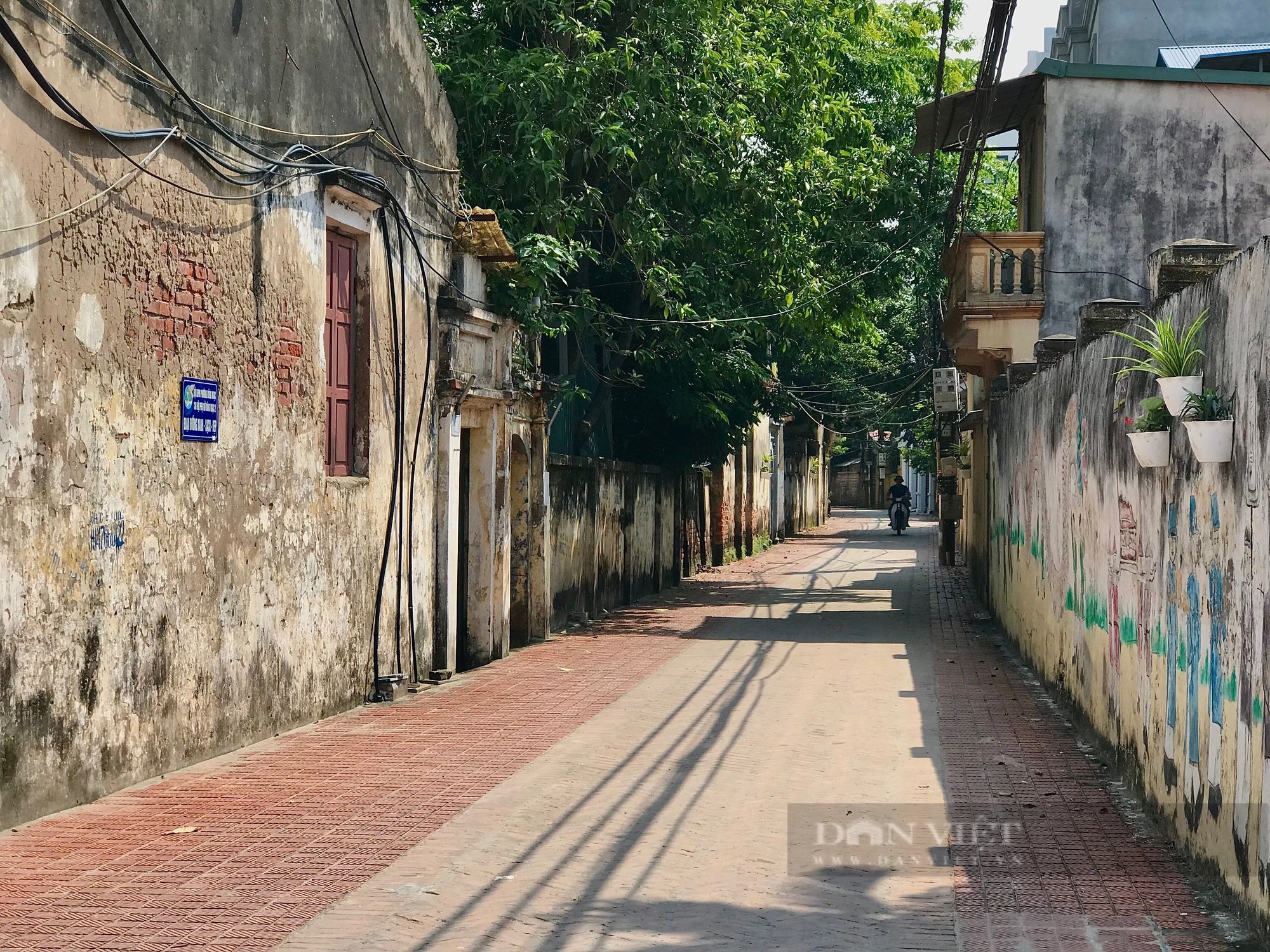 Mục sở thị ngôi làng &quot;tiến sĩ&quot; 600 tuổi nức tiếng Hà Nội - Ảnh 2.