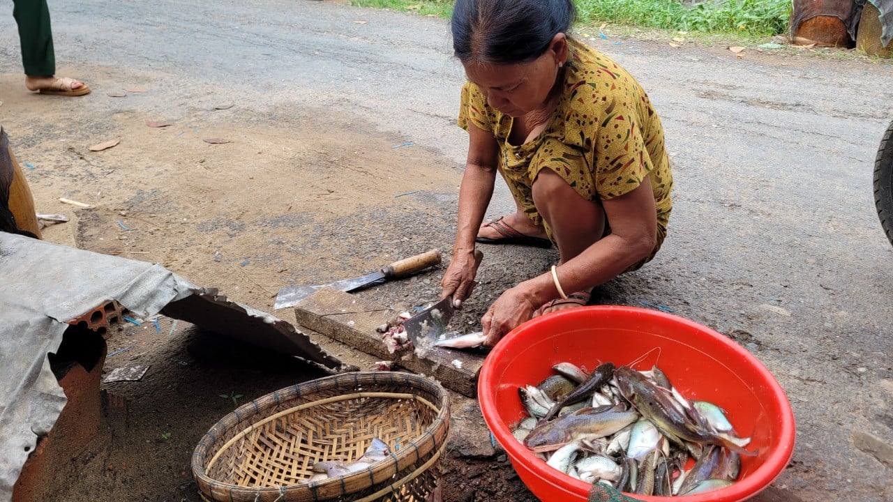 Đánh bắt đồng xa mùa nước nổi ở miền Tây - Ảnh 1. Đánh bắt đồng xa mùa nước nổi ở miền Tây - Ảnh 1.