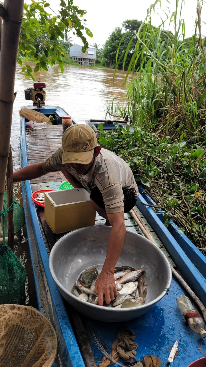 Đánh bắt đồng xa mùa nước nổi ở miền Tây - Ảnh 11. Đánh bắt đồng xa mùa nước nổi ở miền Tây - Ảnh 11.