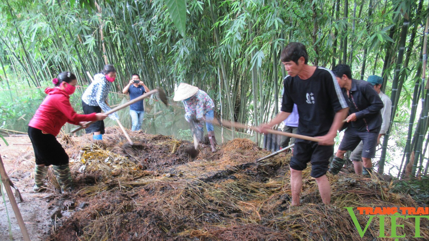 Câu chuyện của những người nông dân làm nông nghiệp ứng phó với biến đổi khí hậu - Ảnh 4. Câu chuyện của những người nông dân làm nông nghiệp ứng phó với biến đổi khí hậu - Ảnh 4.