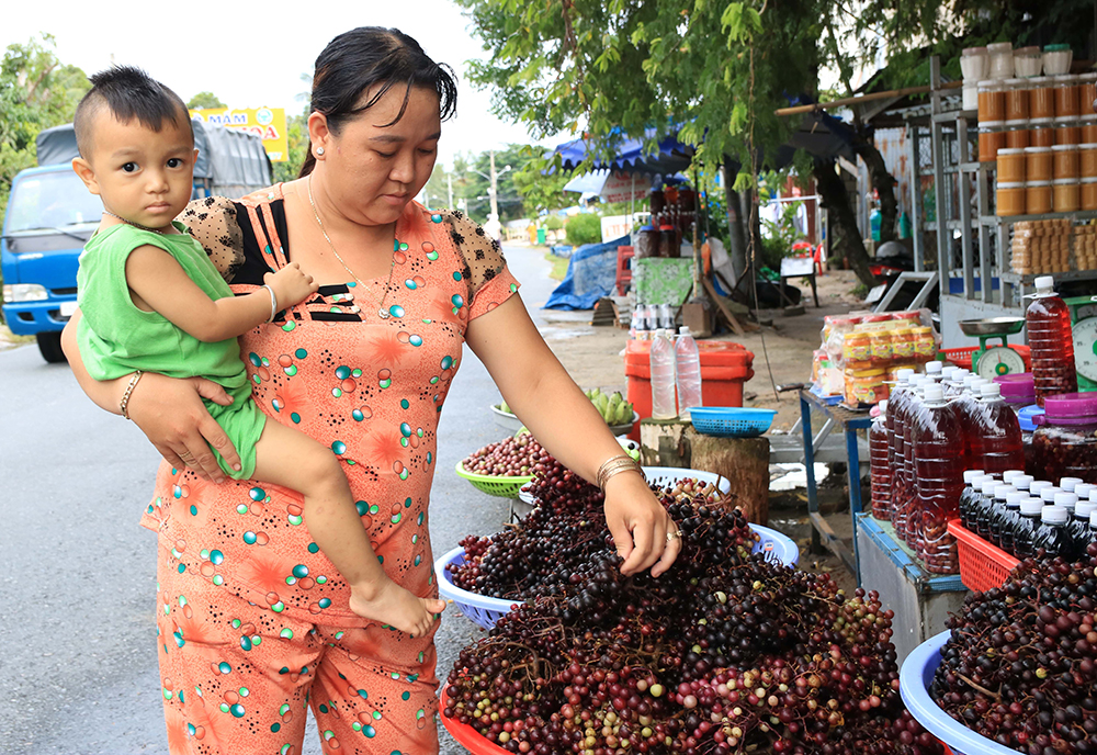 Nho rừng xuống núi  - Ảnh 16.