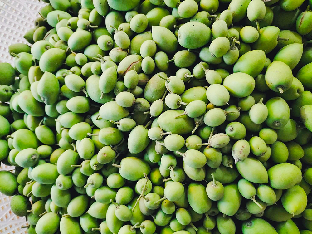 Xưa là cây dại mọc bên bờ kênh, sông, rạch, nay trở thành &quot;cây kinh tế&quot; của nhiều hộ dân ở An Giang - Ảnh 5.