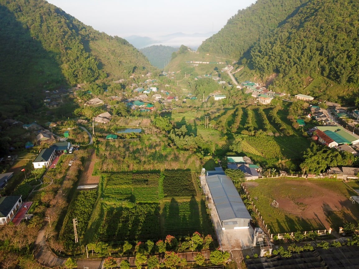 Nhà sáng lập Tập đoàn TH: Ấp ủ giấc mơ về một &quot;con đường thảo dược&quot; - Ảnh 5.