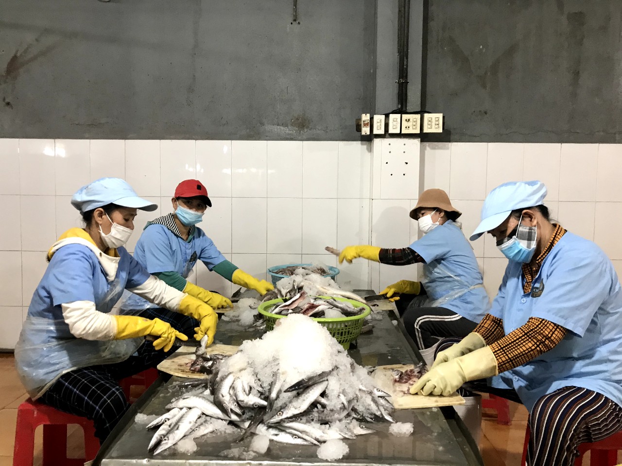 Khánh Hòa: Có 966 doanh nghiệp quay trở lại hoạt động - Ảnh 1. Khánh Hòa: Có 966 doanh nghiệp quay trở lại hoạt động - Ảnh 1.