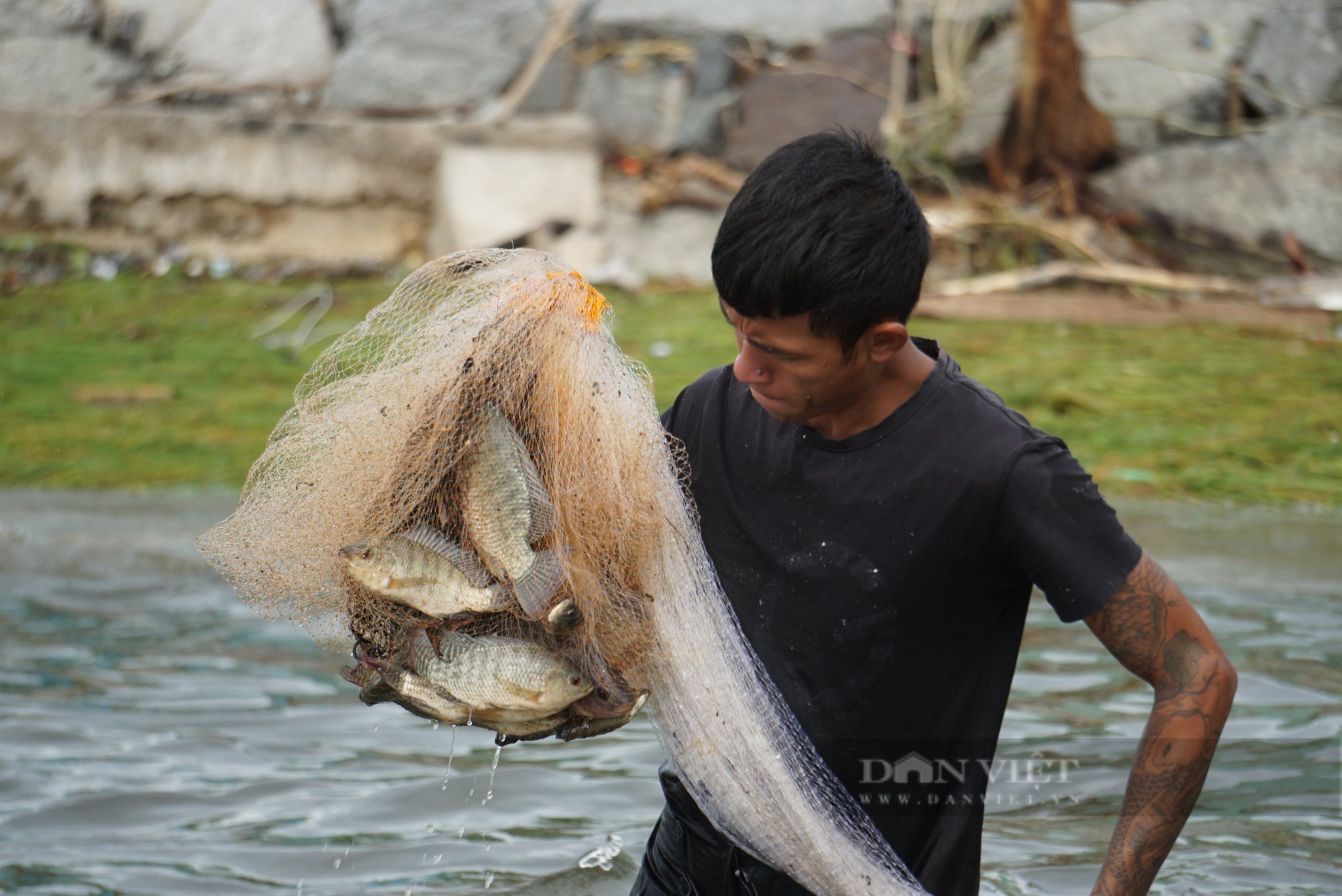 &quot;Đã mắt&quot; với mẻ cá thu hoạch từ miệng cống sau bão  - Ảnh 5.