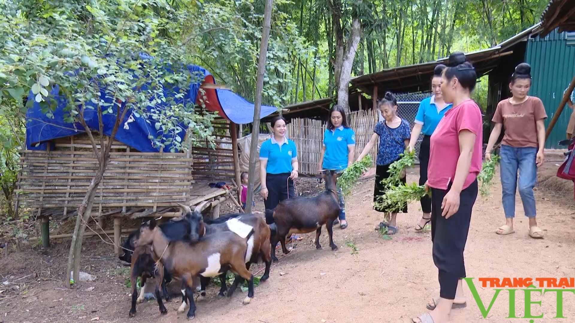 Yên Châu: Đẩy mạnh chăn nuôi giúp nông dân vươn lên làm giàu - Ảnh 6.