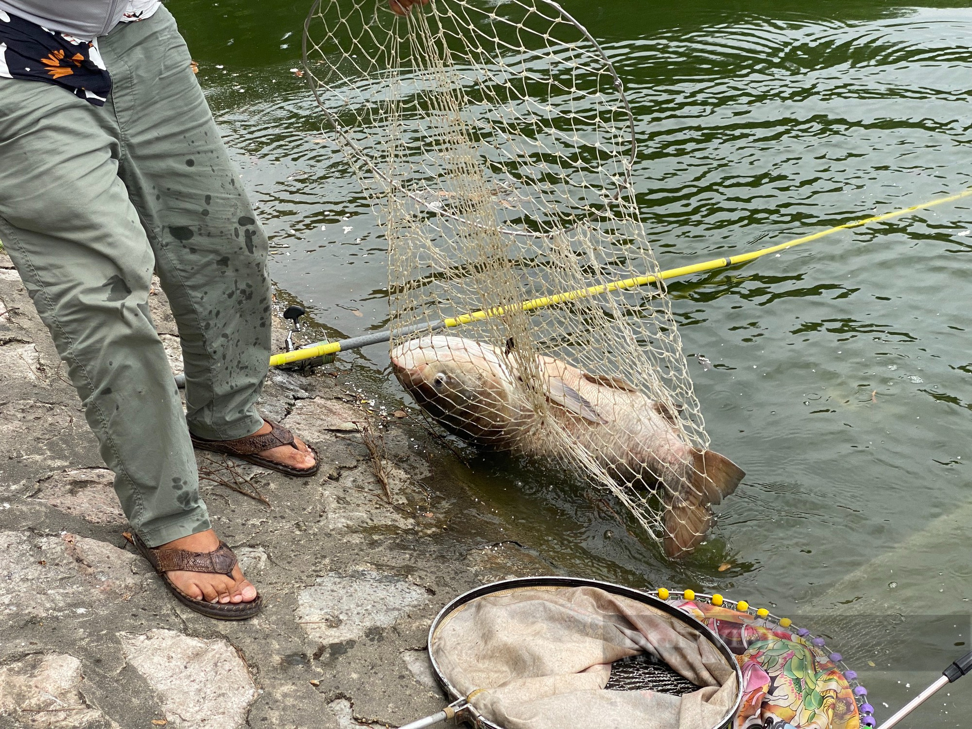 Vụ câu cá có thưởng trái phép ở hồ công ích: &quot;Sẽ bơm cạn nước hồ để không còn câu được&quot; - Ảnh 1.