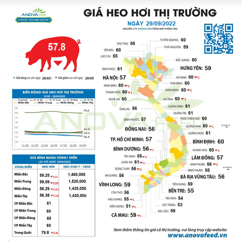 Giá thịt lợn Trung Quốc tăng mạnh, giá lợn trong nước tiếp tục cắm đầu, chưa thấy đáy - Ảnh 2.