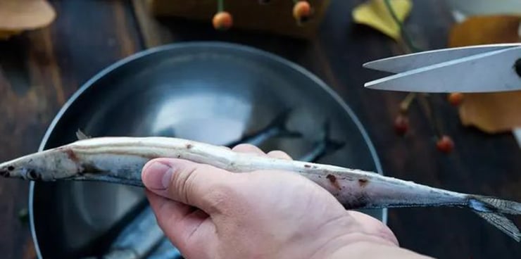 Cá thu đao rất bổ não  - Ảnh 5.