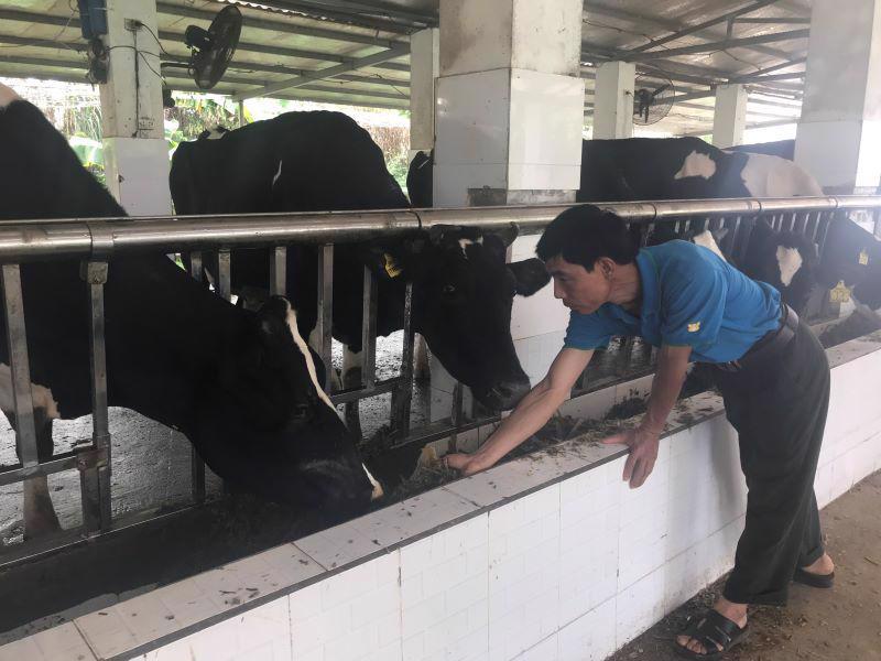 Bí quyết giảm chi phí đầu vào, tăng lợi nhuận trong chăn nuôi - Ảnh 1.