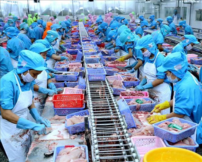Cơ sở cho dự báo kinh tế Việt Nam đạt tăng trưởng cao năm 2022 - Ảnh 2. Cơ sở cho dự báo kinh tế Việt Nam đạt tăng trưởng cao năm 2022 - Ảnh 2.