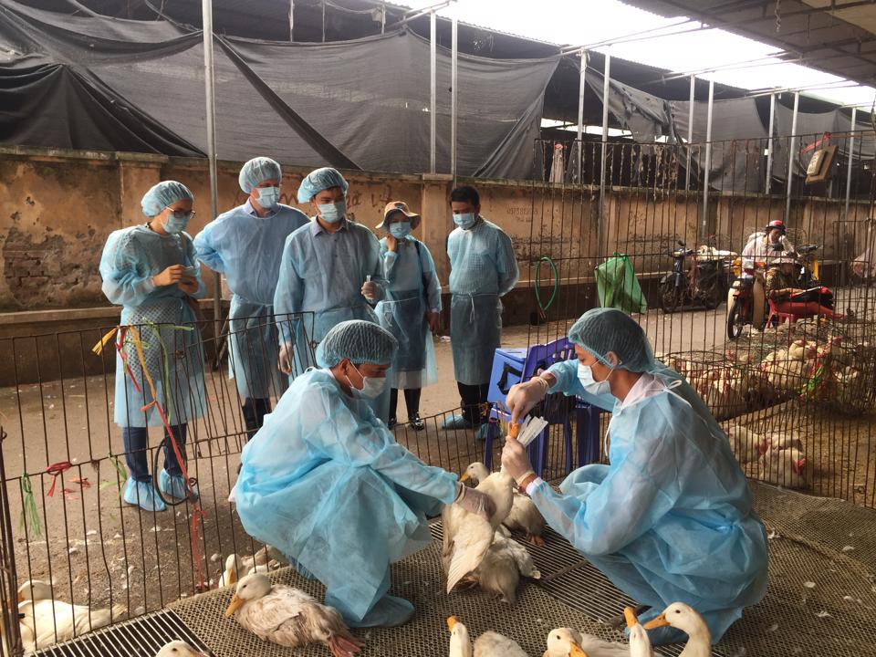 Bí quyết giảm chi phí đầu vào, tăng lợi nhuận trong chăn nuôi - Ảnh 3.