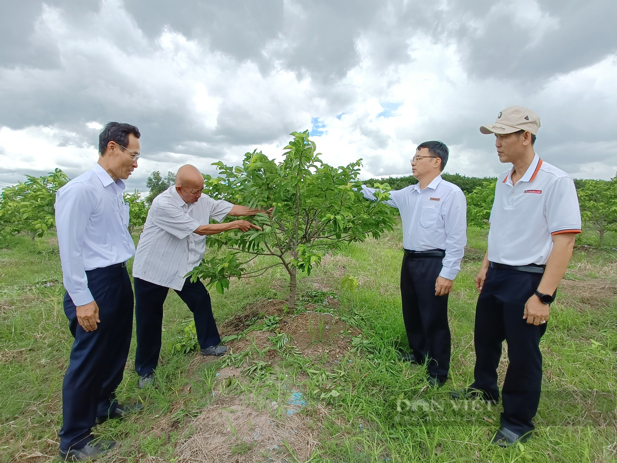 Tây Ninh: - Ảnh 1.