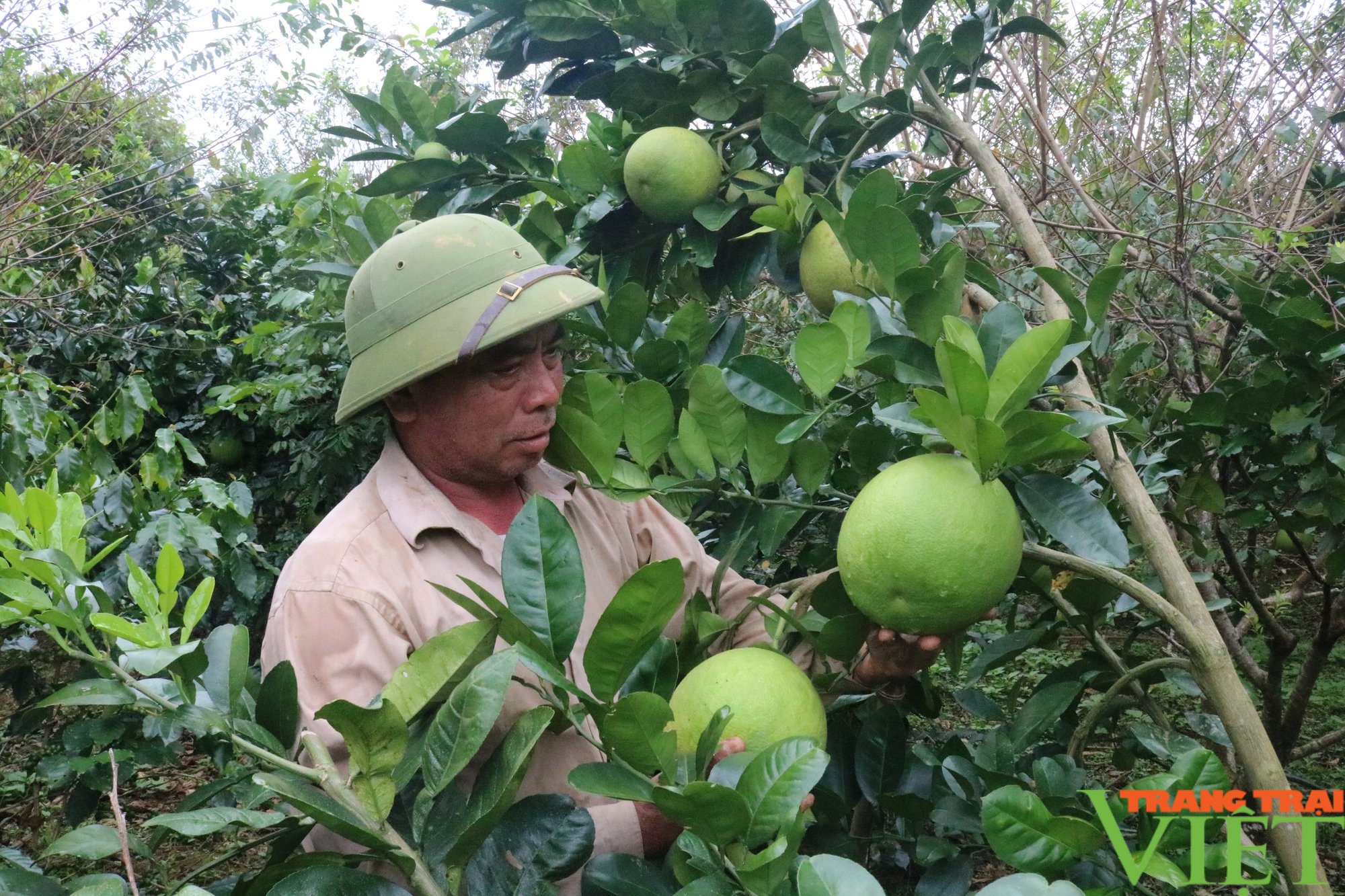 Đổi thay vùng quê anh hùng Mường Chanh - Ảnh 3. Đổi thay vùng quê anh hùng Mường Chanh - Ảnh 3.