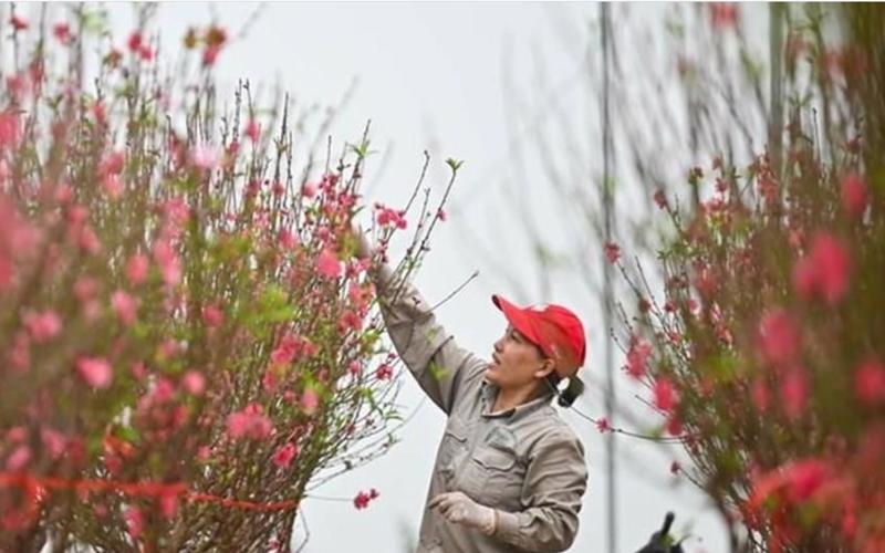 Người lao động nên được nghỉ Tết âm lịch ít nhất 8 ngày? - Ảnh 1.