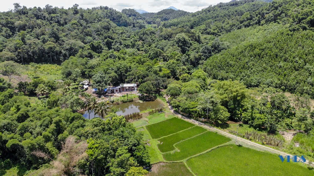 Nuôi loài cá đặc sản của sông Mã trông như cái tàu ngầm, thịt cực ngọt và ngon, có giá trị kinh tế cao - Ảnh 2.