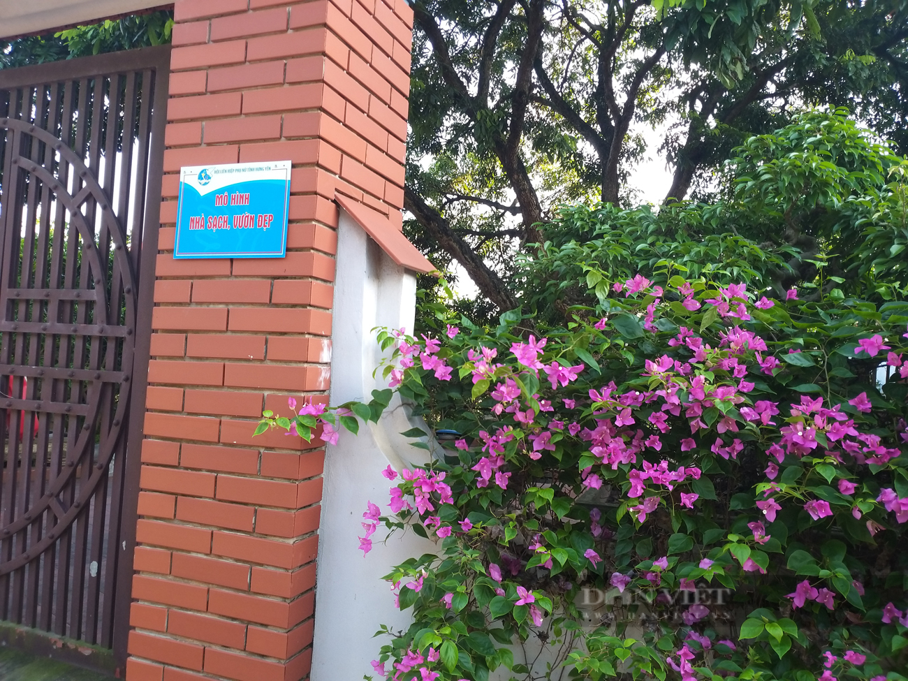 Phụ nữ công giáo ở Đức Hợp thi đua &quot;Xây dựng gia đình 5 không, 3 sạch&quot; (Bài cuối) - Ảnh 5.