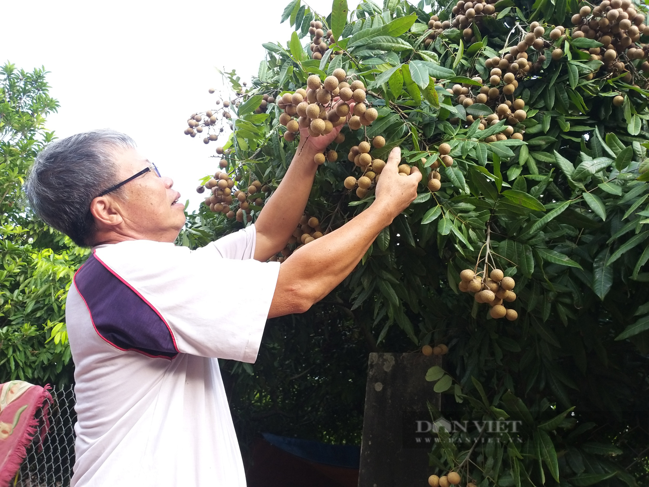 Phụ nữ công giáo ở Đức Hợp thi đua &quot;Xây dựng gia đình 5 không, 3 sạch&quot; (Bài cuối) - Ảnh 8.