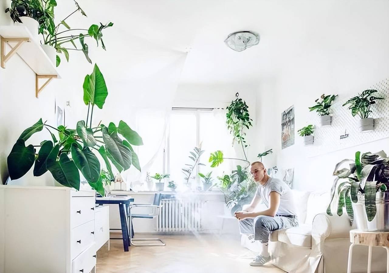 Trồng cây cảnh kích cỡ lớn, tạo &quot;rừng nhiệt đới&quot; trong nhà cần chú ý điều quan trọng này - Ảnh 11.