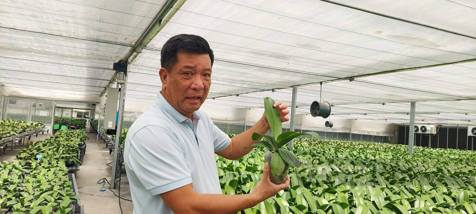 Rẽ ngang sang làm nông nghiệp, “đại gia nông dân Hải Phòng” thu nhập nhiều tỷ trên 1 ha canh tác - Ảnh 4.