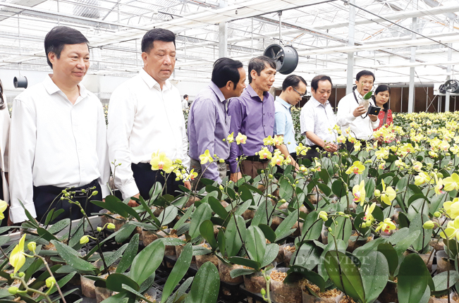 Rẽ ngang sang làm nông nghiệp, “đại gia nông dân Hải Phòng” thu nhập nhiều tỷ trên 1 ha canh tác - Ảnh 6.