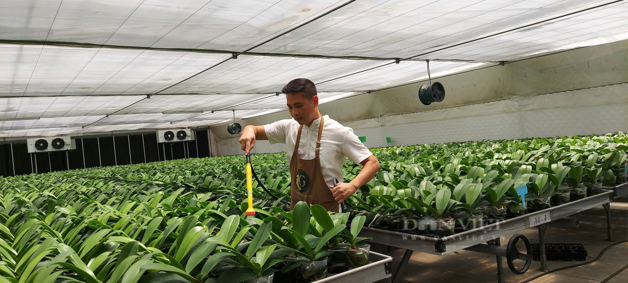 Rẽ ngang sang làm nông nghiệp, “đại gia nông dân Hải Phòng” thu nhập nhiều tỷ trên 1 ha canh tác - Ảnh 5.