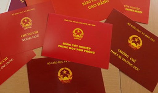 Sử dụng bằng giả, một công chức xã ở Gia Lai bị buộc thôi việc - Ảnh 1.