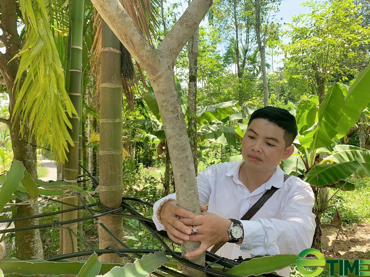Chàng trai xứ Quảng biến những gốc, cây gỗ mục thành trang sức quý hiếm - Ảnh 4. Chàng trai xứ Quảng biến những gốc, cây gỗ mục thành trang sức quý hiếm - Ảnh 4.